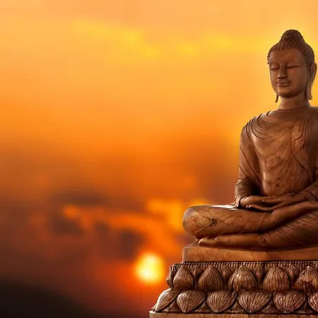 El Rincón Zen *