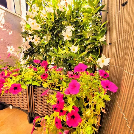 Apartment El Rincon Zen