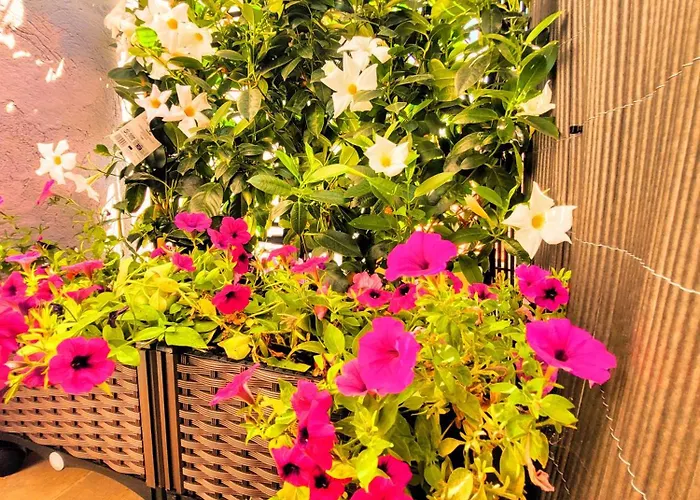 Apartamento El Rincón Zen